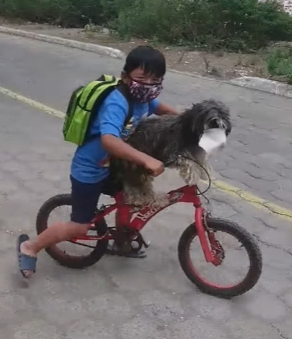 Niño paseando en bicicleta con su perro con cubrebocas