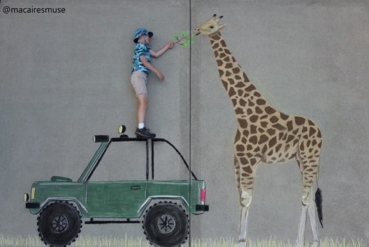 Dibujo hecho con tiza de un niño alimentando una jirafa con lechuga, parado sobre una camioneta