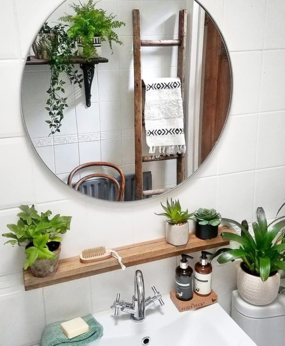 Espejo de baño y plantas en esa área