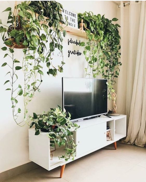 Sala de TV con plantas