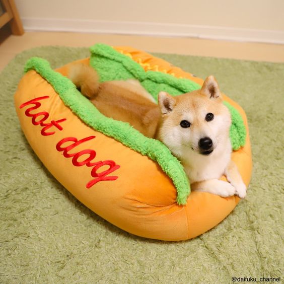 Camita de perro en forma de hotdog