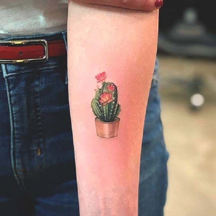 Tatuaje de flores en el antebrazo en el que se ve un cactus en su maceta