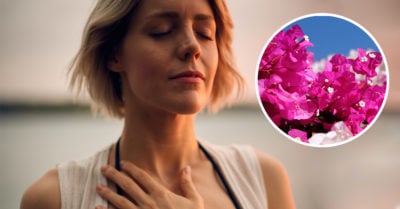 13 Beneficios que la flor de bugambilia tiene para ti