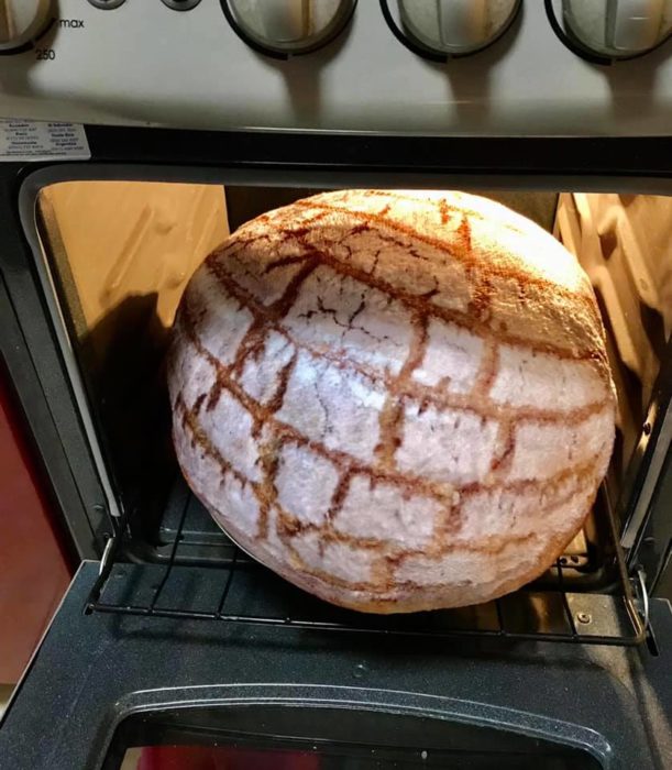 Almohada en forma de concha saliendo del horno 