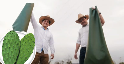 Crean bolsas con cuero a base de nopal para reducir el impacto ambiental