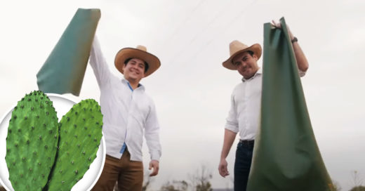 Mexicanos le dicen adiós al cuero animal y crean uno orgánico a base de nopal