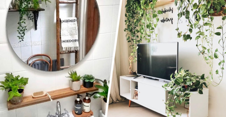 15 Formas de decorar para que tu 'señora de las plantas' sea plena y feliz