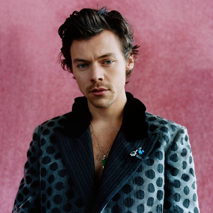 harry styles con saco de lunares oscuros