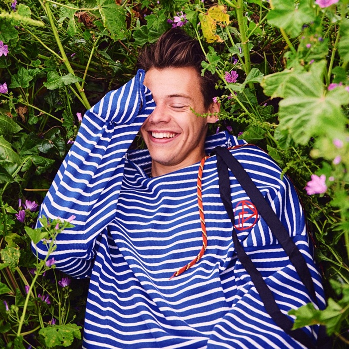 harry styles recostado en un campo de plantas