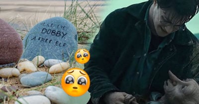 Potterheads construyen ‘santuario’ a Dobby en el lugar en el que murió