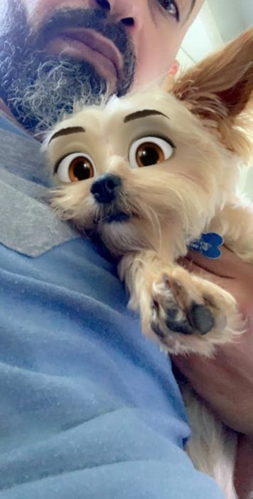 Perro poodle con filtro Disney de snapchat