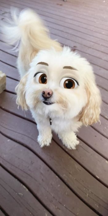 Perro blanco con filtro Disney de snapchat