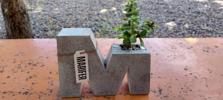 Maceta en forma de M, con un árbol de la abundancia plantado