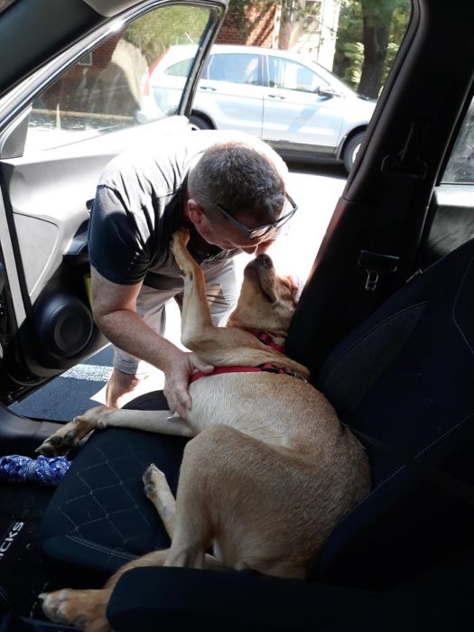 Hombres que "no querían mascotas en casa"