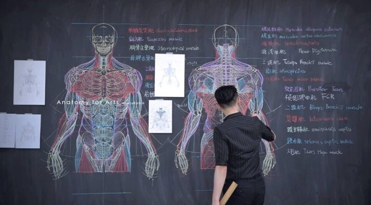 Chuan-Bin Chung, ilustrador y profesor de anatomía, dibujando el sistema musculatorio humano