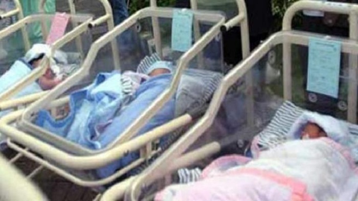 Cuneros con recién nacidos