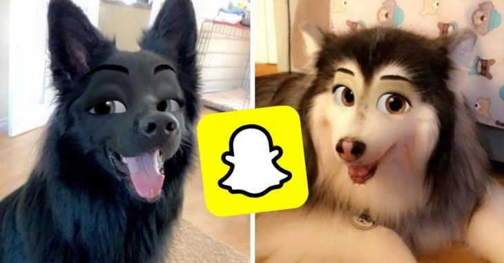Nuevo filtro de Snapchat convierte a tu mascota en un personaje de Disney