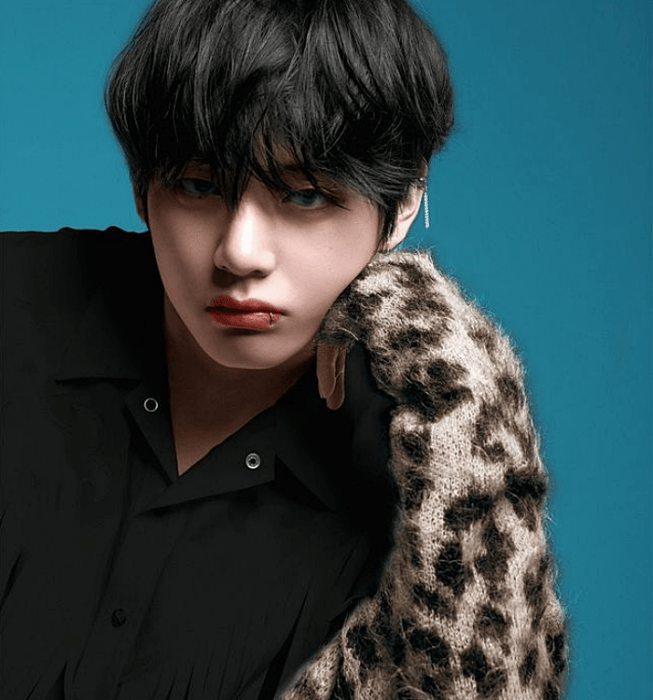 Kim Taehyung-V