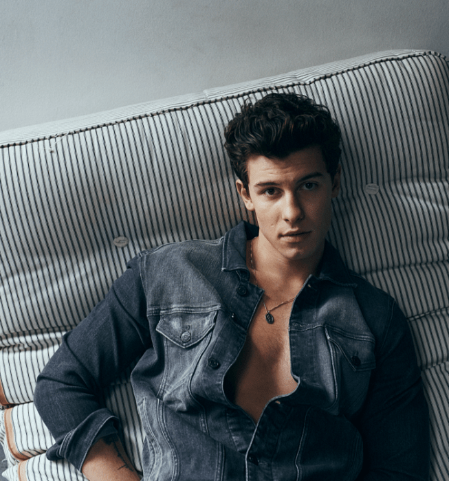 shawn mendes