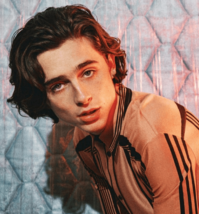 timothée chalamet