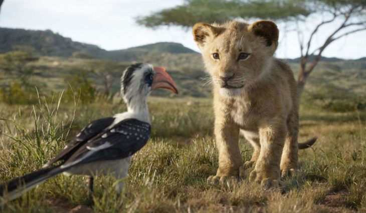 Escena de El rey león en live action, donde aparece Simba y Zazú