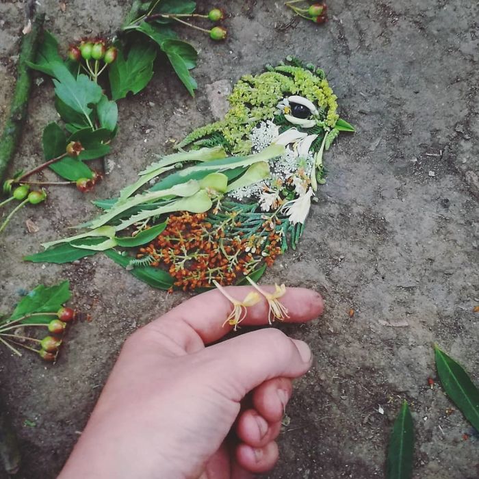 Hannah Bullen-Ryner retratos de aves con hojas