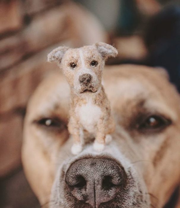 Perritos con sus versiones hechas de fieltro