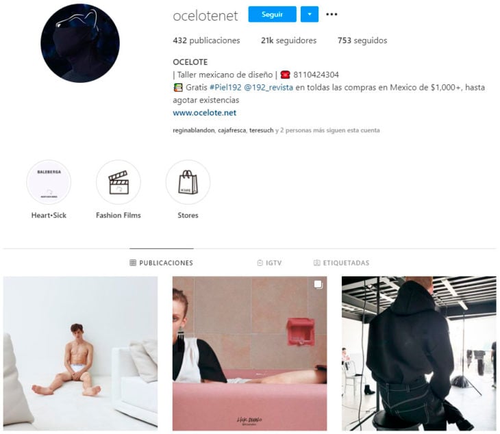 Perfil de instagram de la marca de ropa mexicana Ocelote