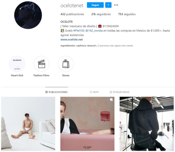 Perfil de instagram de la marca de ropa mexicana Ocelote