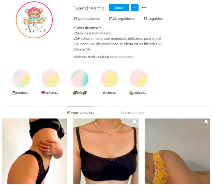 Perfil de instagram de la marca de ropa mexicana Wet dreamz