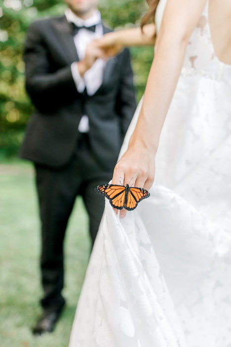 Pareja de novios posando junto a una mariposa en un hermoso jardín 