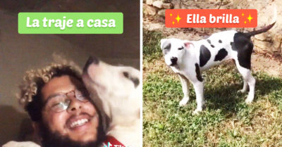 Tiktoker emociona a todos por su linda amistad con perrita callejera