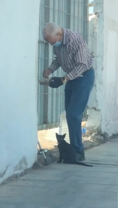 Abuelito alimenta a gatita callejera