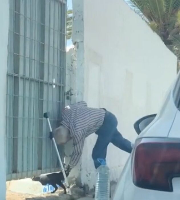 Abuelito alimenta a gatita callejera