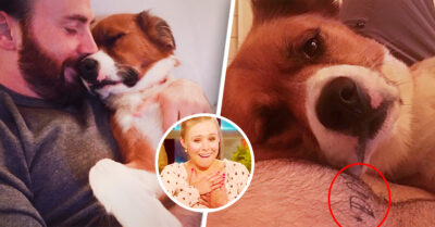 Chris Evans se tatúa el nombre de su perrito adoptado y nos derrite el corazón