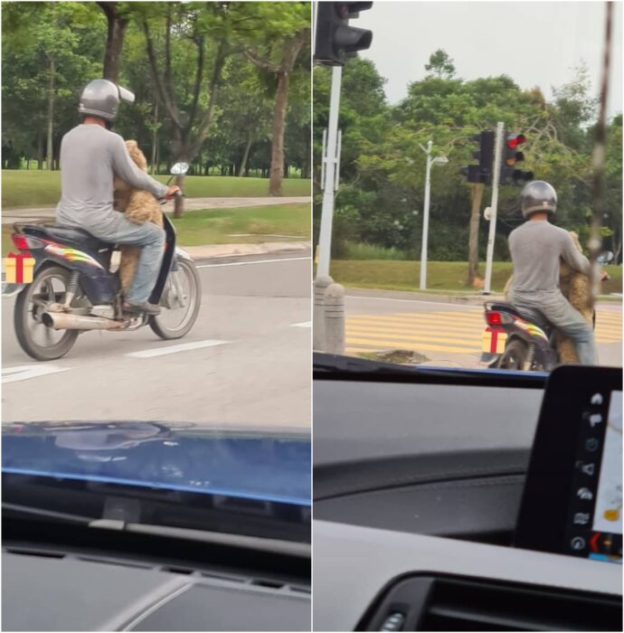 Hombre paseando en motocicleta 