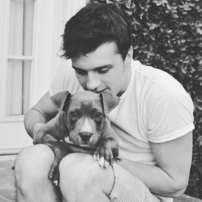 Famosos que han adoptado mascotas, perros o gatos; Josh Hutcherson sentado con su perrita cachorra pitbull, Driver