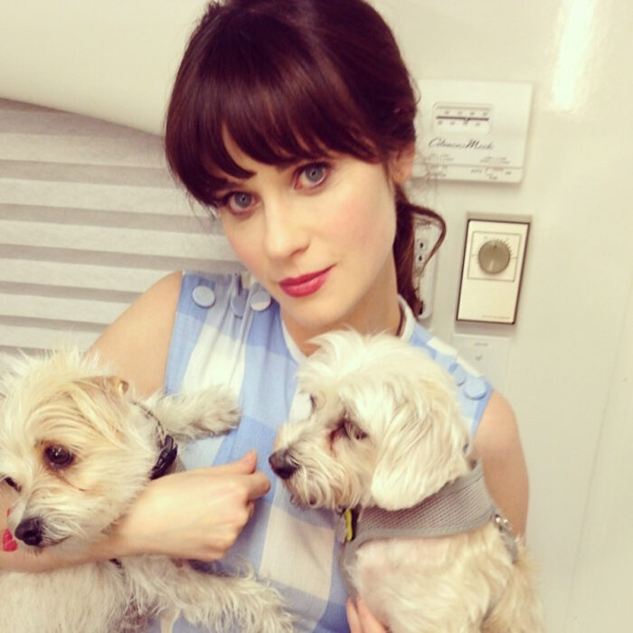 Famosos que han adoptado mascotas, perros o gatos; Zooey Deschannel cargando a sus dos perritos french poodles blancos, Dot y Zelda