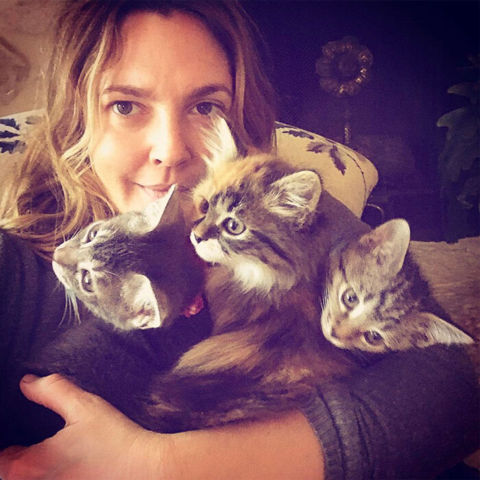 Famosos que han adoptado mascotas, perros o gatos; Drew Barrymore abrazando a sus tres gatitas de pelo largo y gris con rayas rengas, Douglas, Lucky y Peach