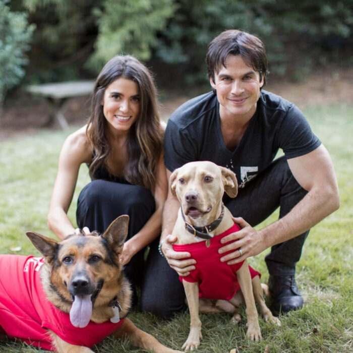 Famosos que han adoptado mascotas, perros o gatos; Ian Somerhalder y su esposa Nikki Reed en el jardín con sus perros Nietzsche y Enzo, un pastor alemán y un pitbull color miel