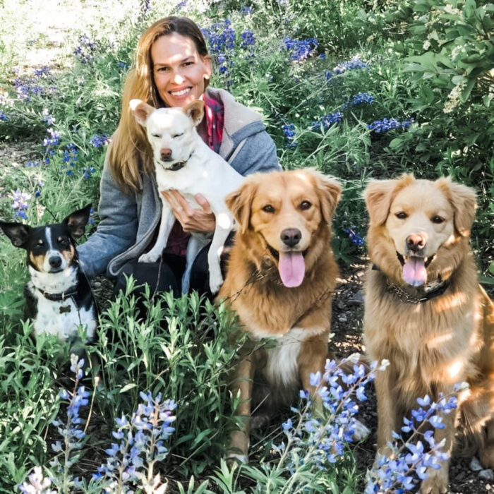 Famosos que han adoptado mascotas, perros o gatos; Hilary Swank en el jardín con sus perritos Lucky, Karoo, Rumi y Kai; golden retriever color miel y chihuahuas meztizos blanco y negro