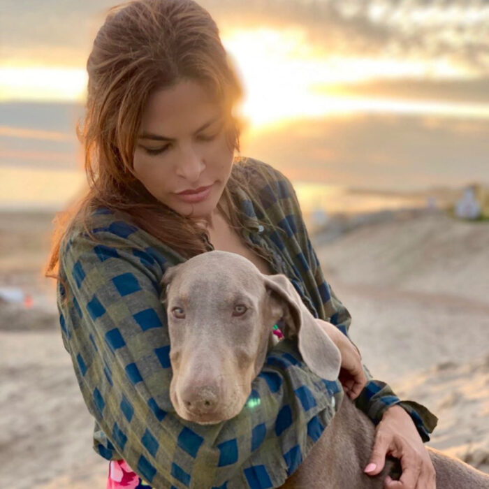 Famosos que han adoptado mascotas, perros o gatos; Eva Mendes en la playa con su perrito, Lucho, un Weimaraner gris de ojos claros