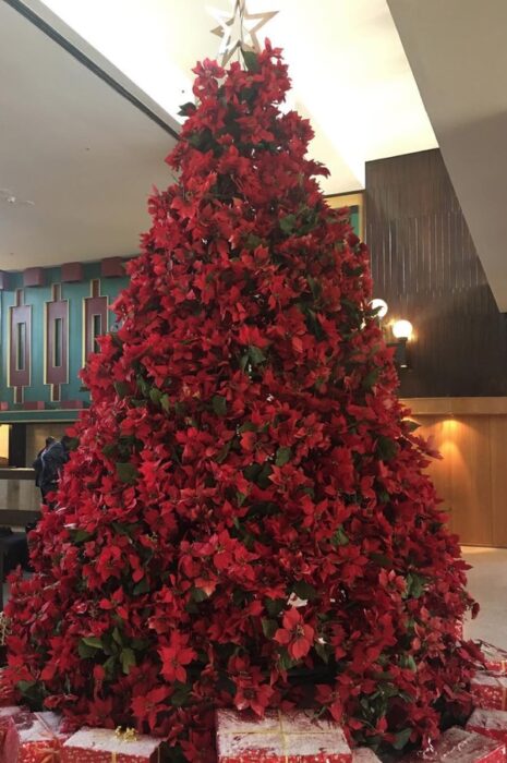 Pinito navideño decorado con noche buenas rojas; ideas para decorar tu arbolito de Navidad