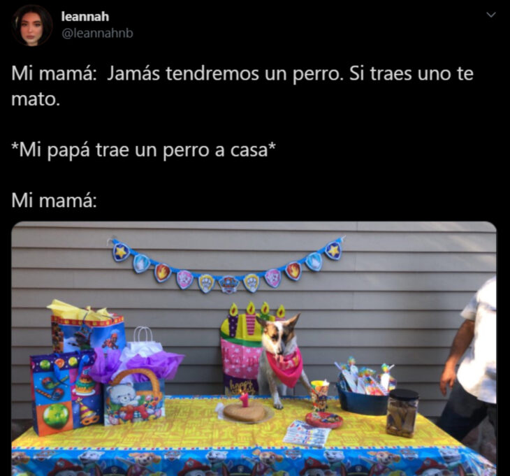 Memes de mamás latinas que no querían perros y terminaron amándolos; fiesta de cumpleaños con perrito, pastel, decoraciones, regalos y aguinaldos de Paw Patrol