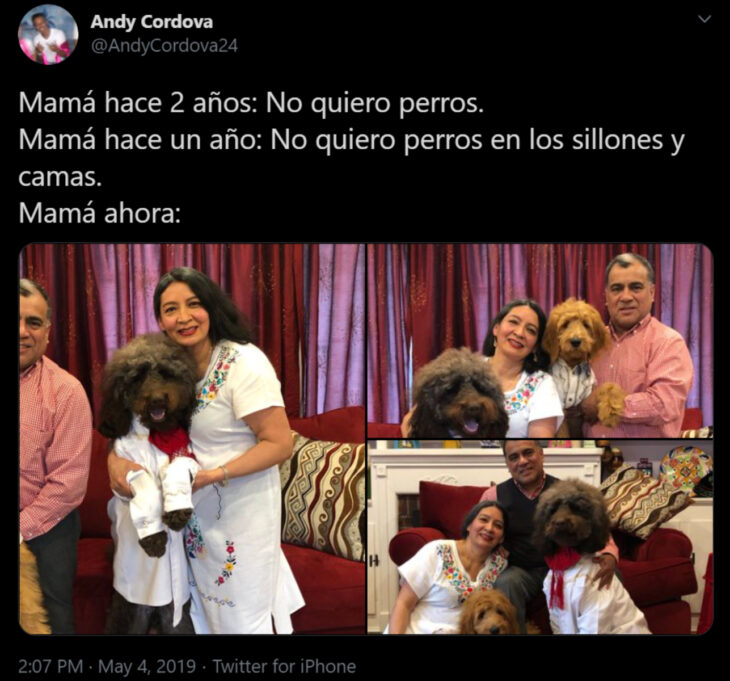 Memes de mamás latinas que no querían perros y terminaron amándolos; señora abrazando a sus perritos peludos de raza grande