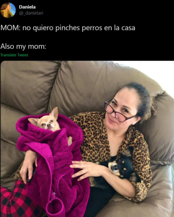 Memes de mamás latinas que no querían perros y terminaron amándolos; señora arrulando como bebé a sus perritos chihuahueños color miel y negro