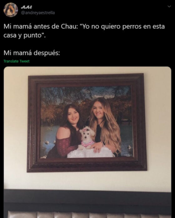 Memes de mamás latinas que no querían perros y terminaron amándolos; fotografía de hijas, mujeres con su perrita french poodle