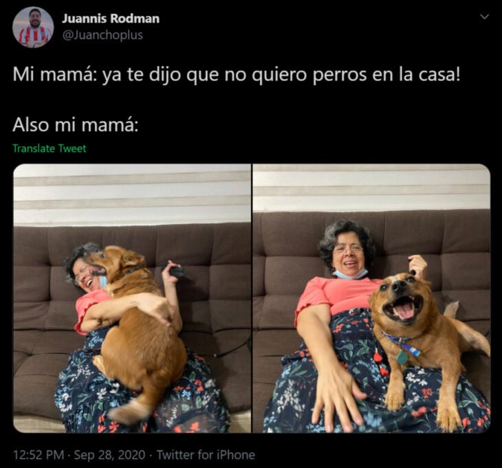 Memes de mamás latinas que no querían perros y terminaron amándolos; señora sentada en el sillón con su perro mestizo color café