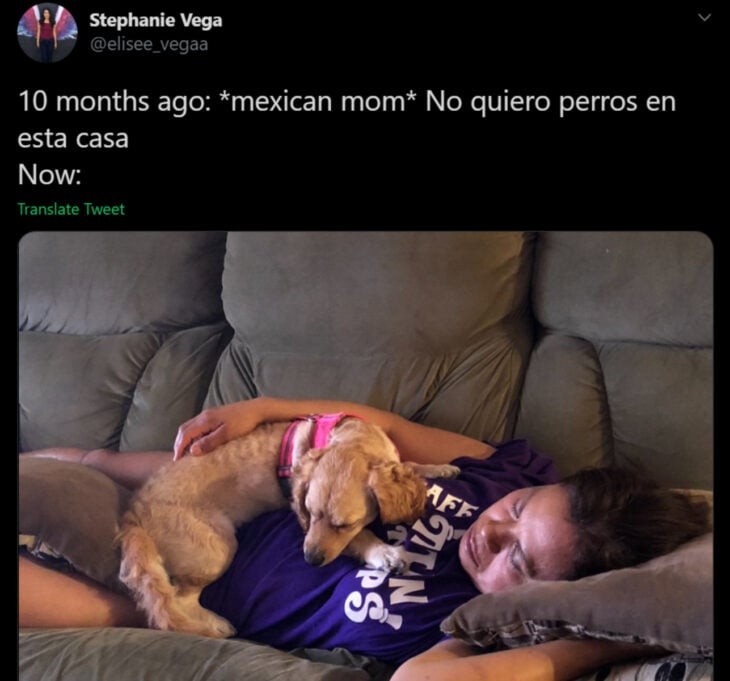 Memes de mamás latinas que no querían perros y terminaron amándolos; señora dormida en el sillón con su perrito cocker spaniel color miel