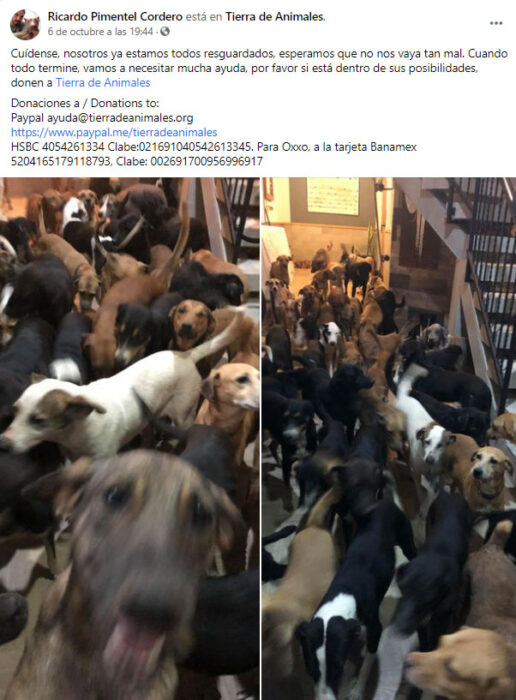 Publicación en Fb de Ricardo Pimentel después de haber rescatado a 300 animales durante el huracán Delta